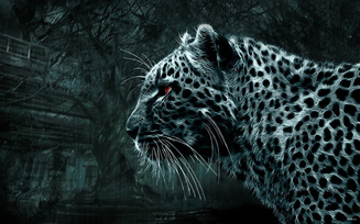 леопард, Картинка, смотрит, 3d, дикая кошка